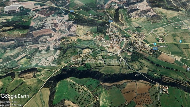 Land in Alaminos - view 1