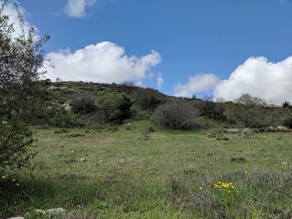 Land in Tsada - view 1