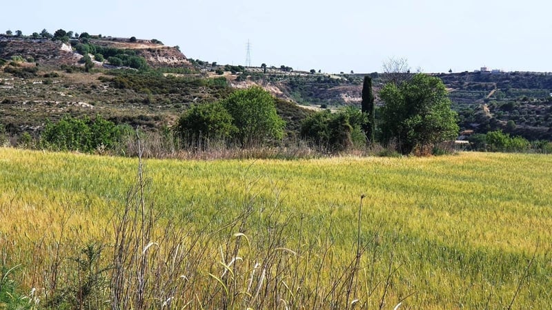 Land in Tsada - view 1