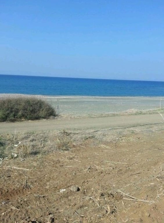 Land in Pachyammos - Image 2