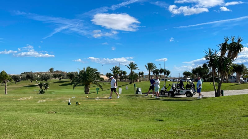 House in Los Montesinos - view 1