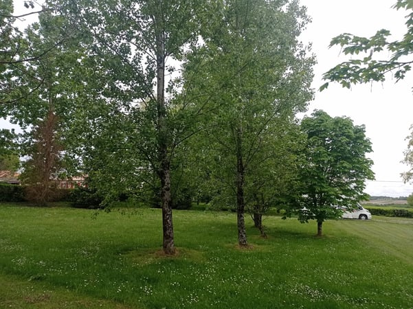 House in Riberac - view 1