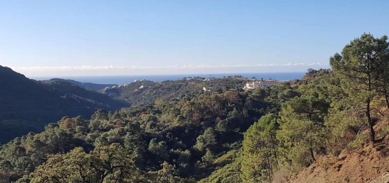 Villa in Benahavis - view 1