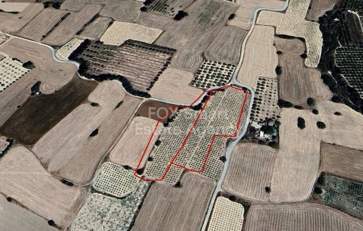 Land in Paramali - view 1