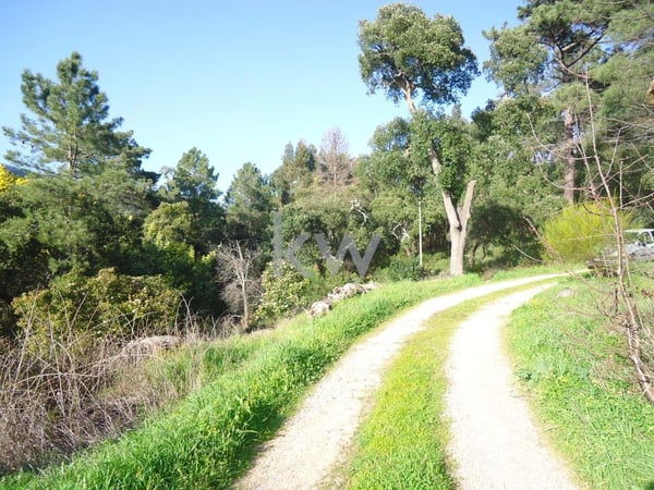 Land in Caldas de Monchique - view 1
