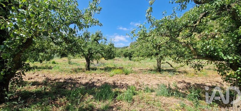 Land in Azueira - view 1