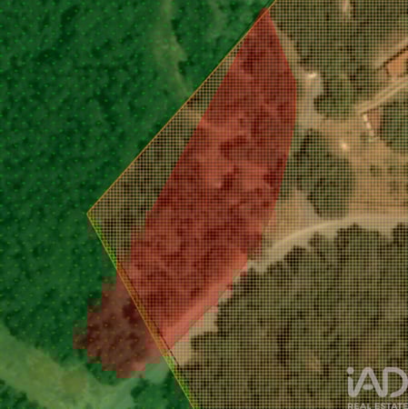 Land in Aljubarrota - view 1