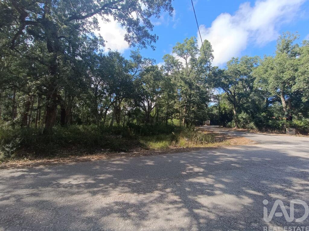 Land in Aljubarrota - Image 3