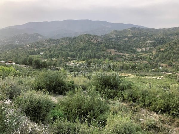 Land in Lemesos - view 1