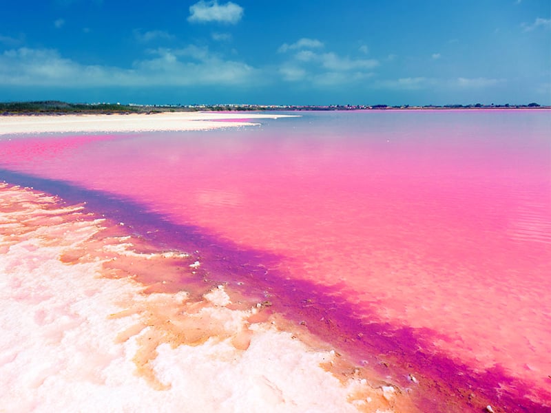 Apartment in Torrevieja - Image 3