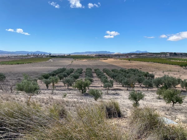 Land in Pinoso - view 1