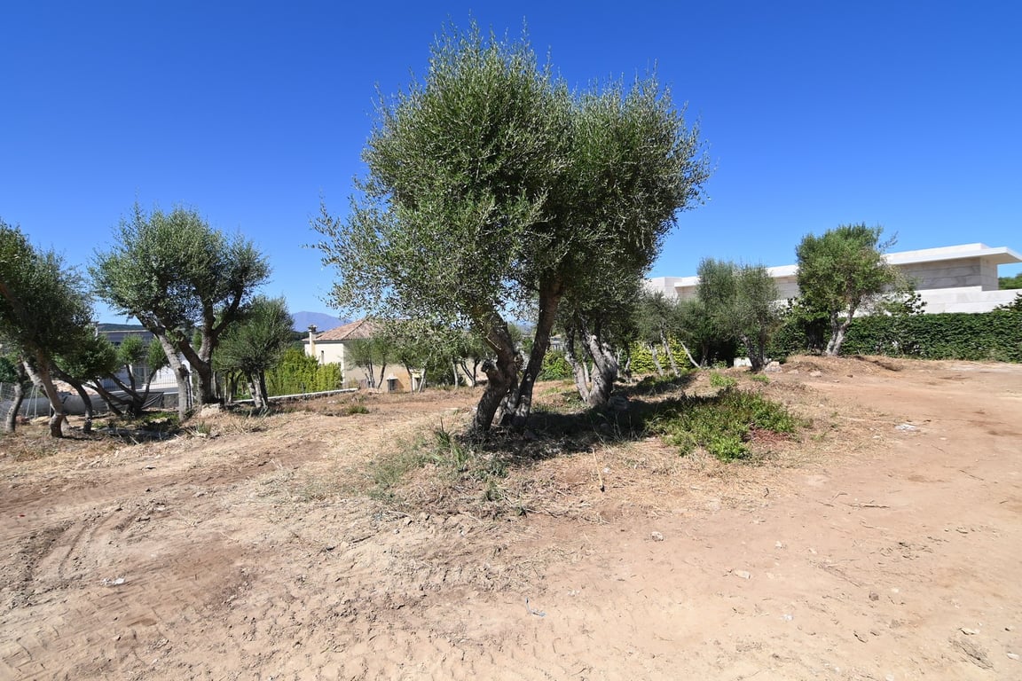 Land in Sotogrande - Image 4