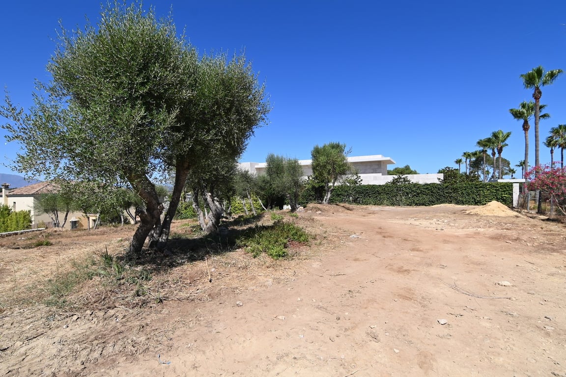 Land in Sotogrande - Image 3