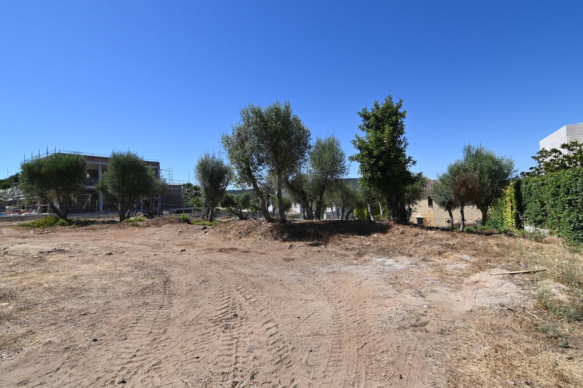 Land in Sotogrande - Image 2