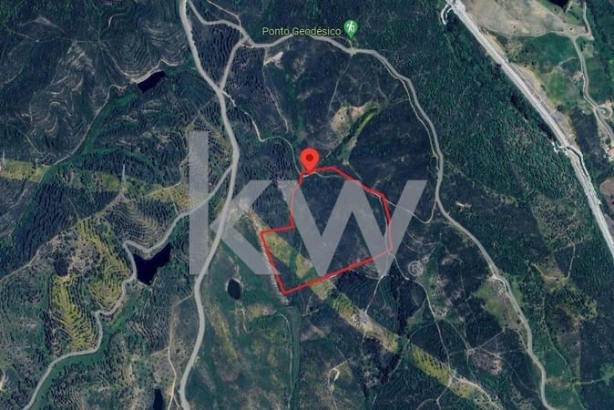 Land in Sao Bartolomeu de Messines - view 1