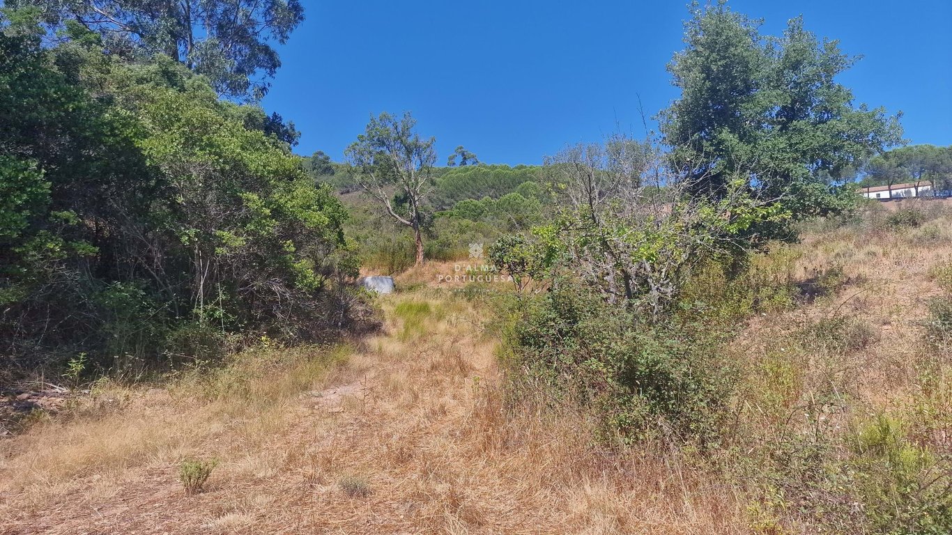 Land in Sao Marcos da Serra - Image 3