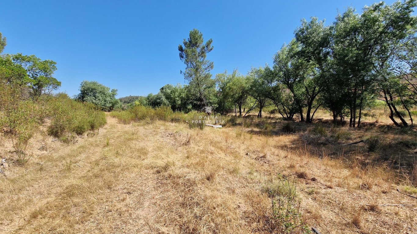 Land in Sao Marcos da Serra - Image 2