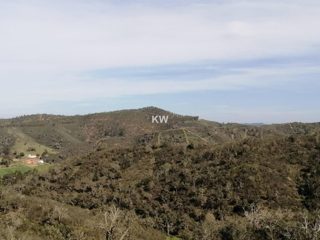 Land in Evora - Image 2