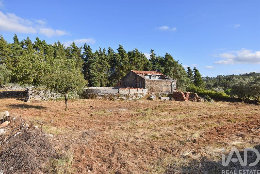 Land in Condeixa-a-Velha - Image 2