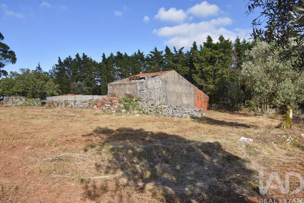 Land in Condeixa-a-Velha - Image 3