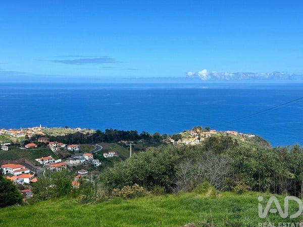 Land in Sao Jorge - view 1