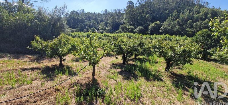 Land in Azueira - view 1