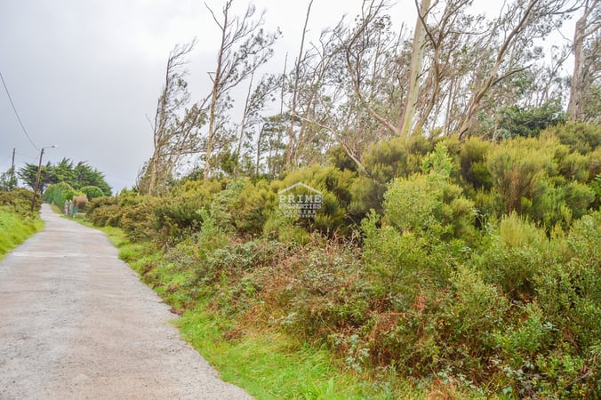 Land in Machico - view 1