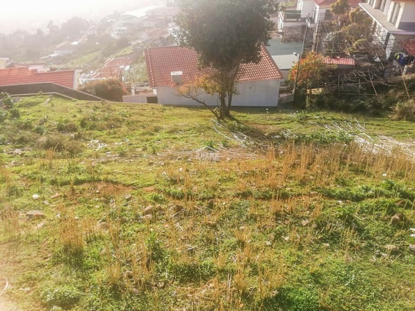 Land in Funchal - view 1