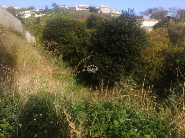 Land in Funchal - view 1