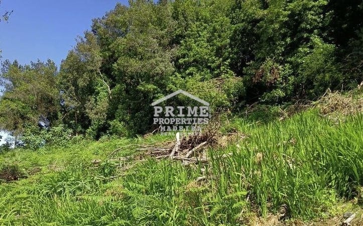 Land in Nossa Senhora do Monte - view 1