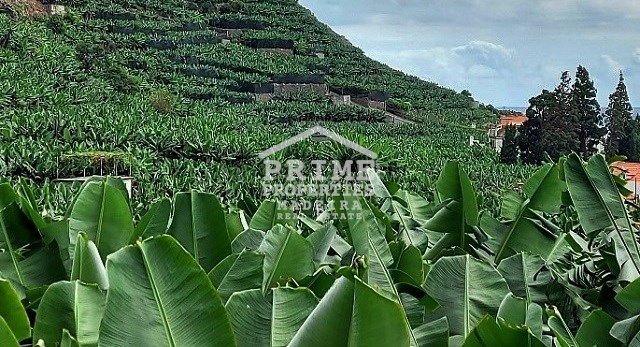 Land in Arco da Calheta - Image 2