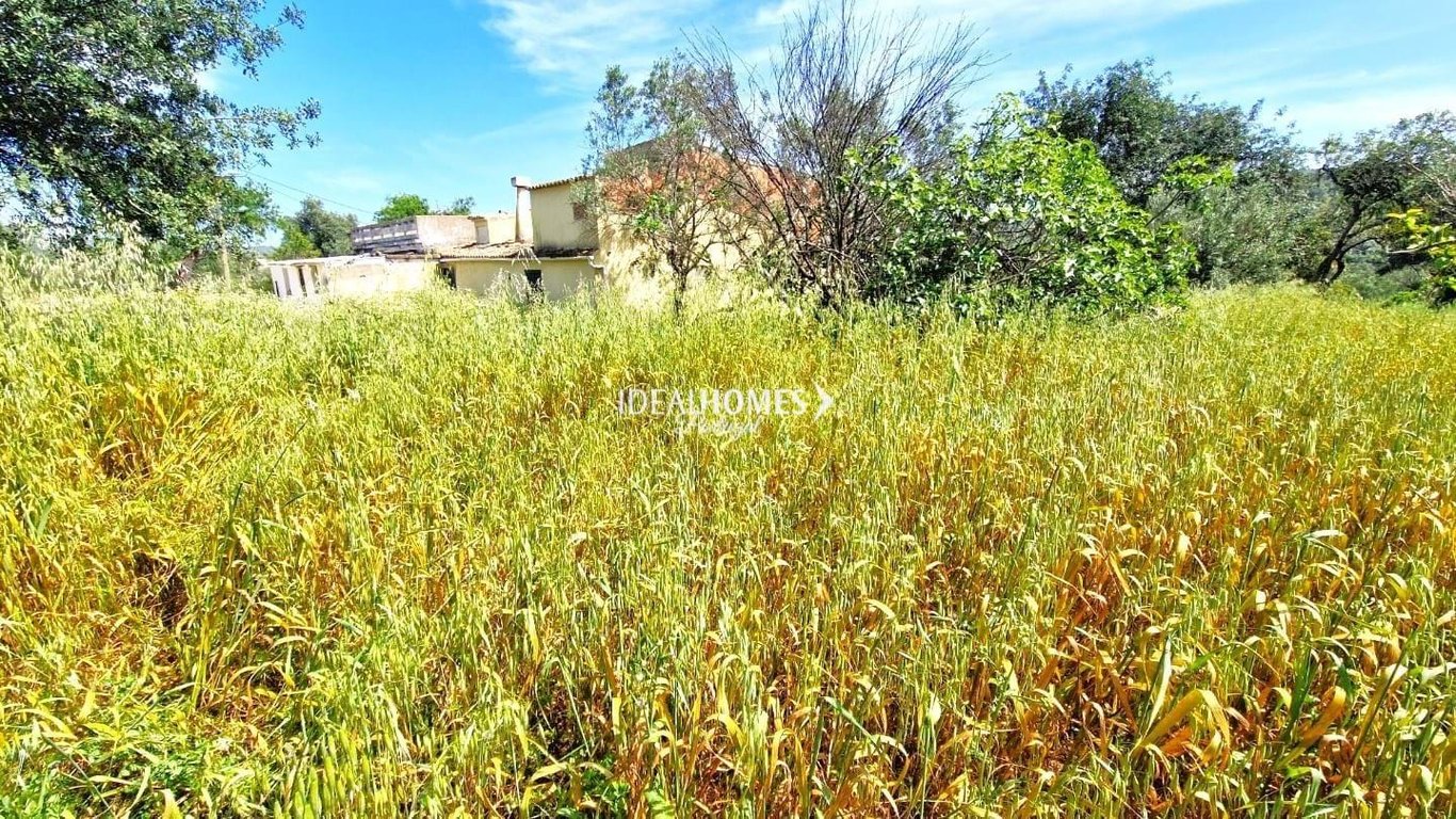 Villa in Loule - Image 3