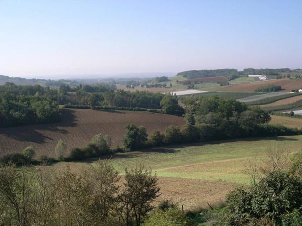 House in Saint-Vincent-Lespinasse - view 1