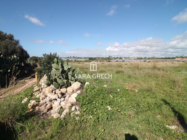 Land in Qala - view 1