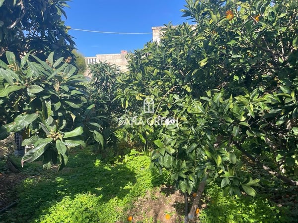 House in Mosta - view 1