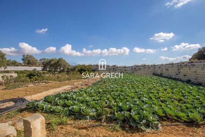 House in Dingli - view 1