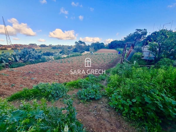 House in Kalkara - view 1