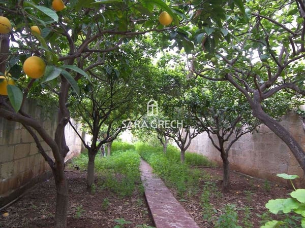 House in Iz-Zejtun - view 1