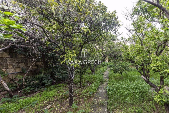 House in Qormi - view 1