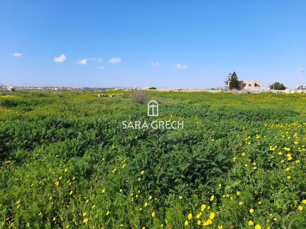 House in Marsaskala - Image 3