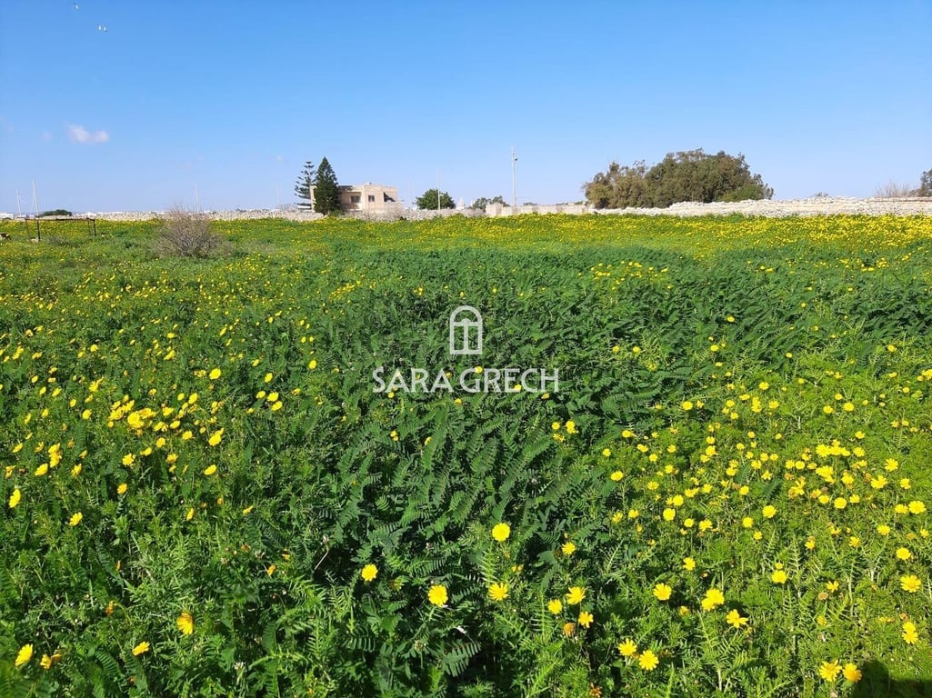 House in Marsaskala - Image 2