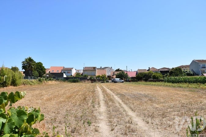 Land in Sao Vicente de Pereira Jusa - view 1