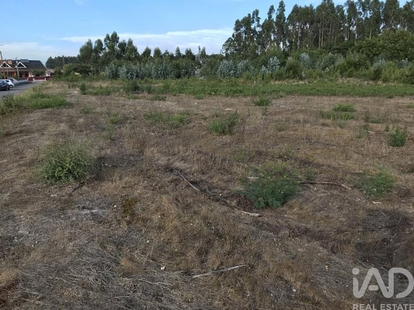 Land in Sao Vicente de Pereira Jusa - view 1