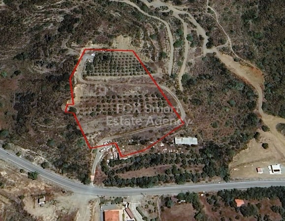 Land in Asgata - view 1