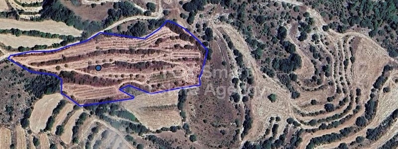 Land in Amargeti - view 1