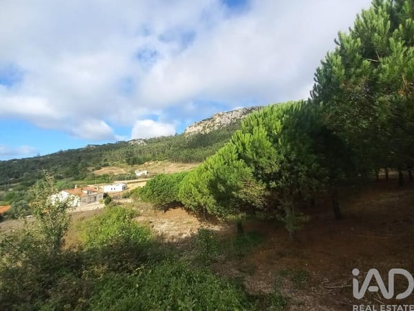 Land in Valbom - view 1