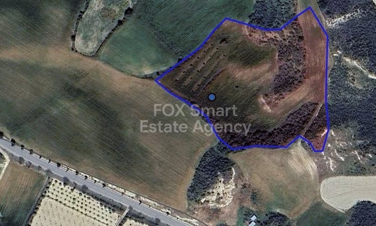 Land in Steni - view 1