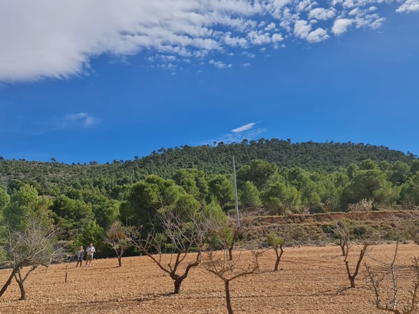 Land in Pinoso - view 1