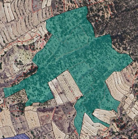 Land in Monovar - view 1