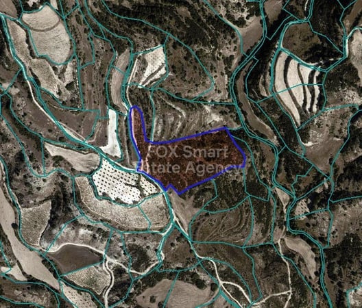 Land in Polemi - view 1